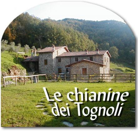Le Chianine Dei Tognoli Hotel Gragnola Luaran gambar